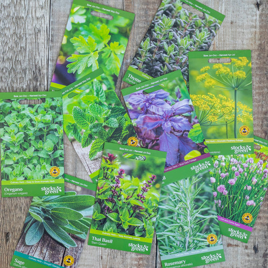 Culinary Herbs Seed Collection