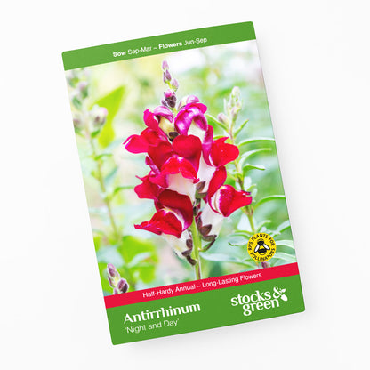 Antirrhinum 'Night and Day' Seeds