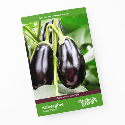 Aubergine 'Black Beauty' Seeds