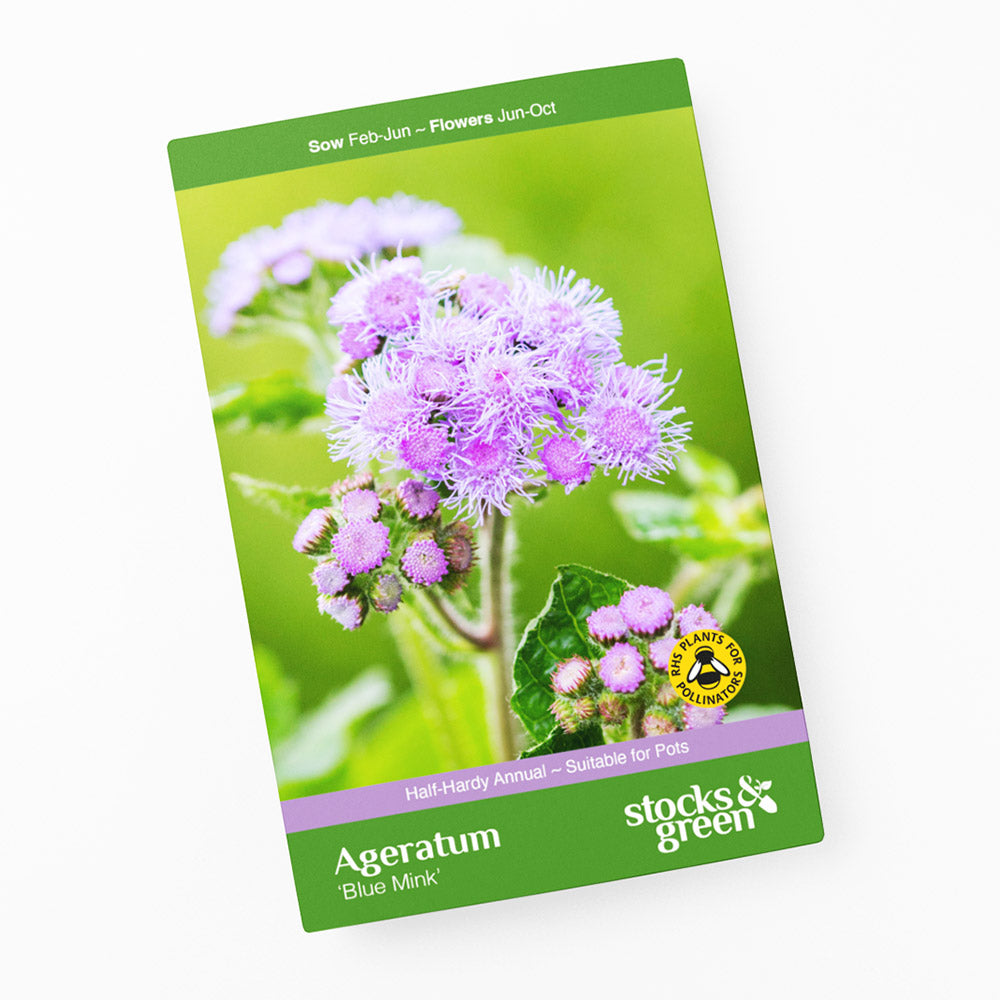 Ageratum 'Blue Mink' Seeds