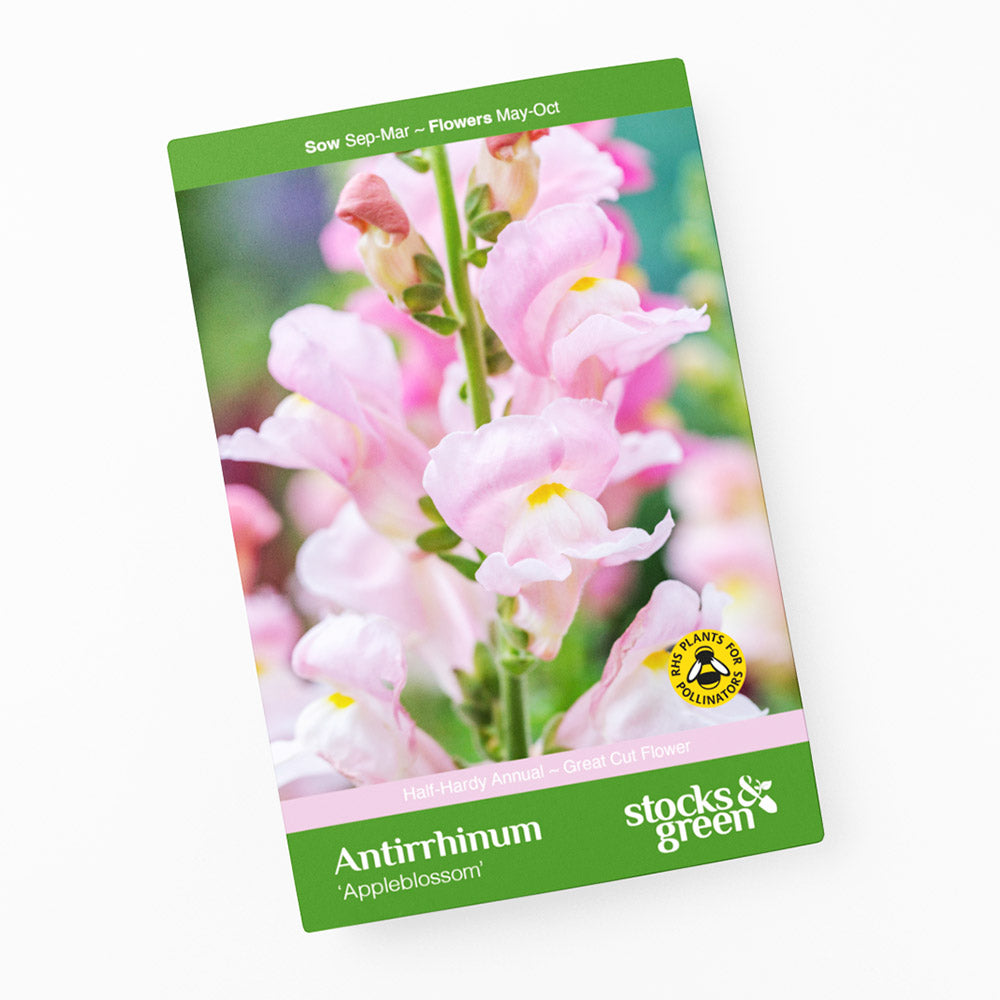 Antirrhinum 'Appleblossom' Seeds