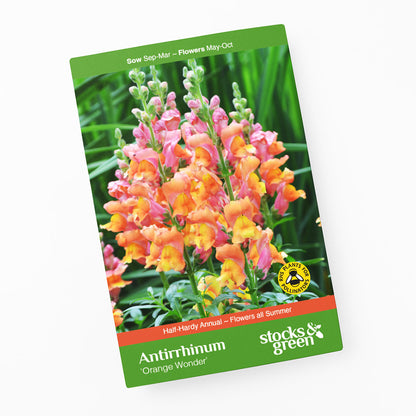 Antirrhinum 'Orange Wonder' Seeds