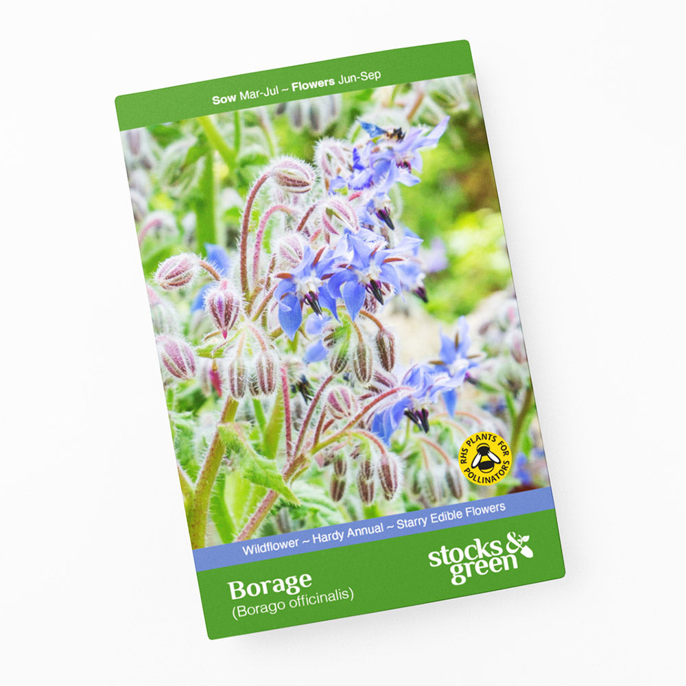 Borage - Seeds