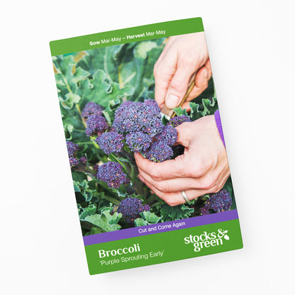 Broccoli 'Purple Sprouting Early' Seeds