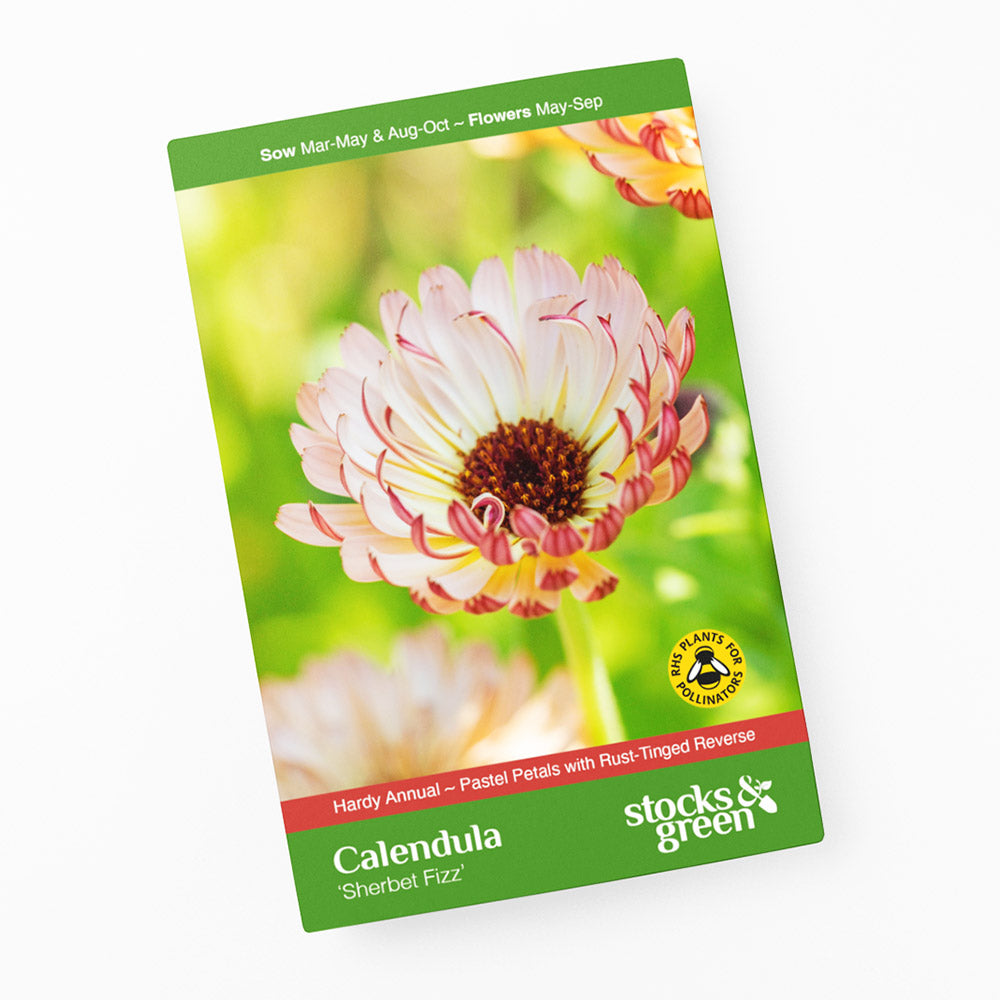 Calendula 'Sherbet Fizz' Seeds