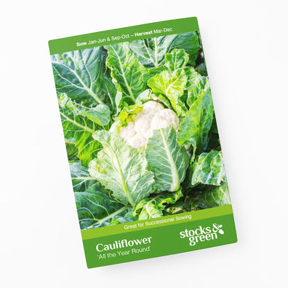 Cauliflower 'All the Year Round' Seeds