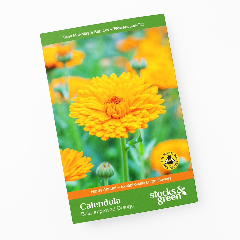 Calendula 'Balls Improved Orange' Seeds