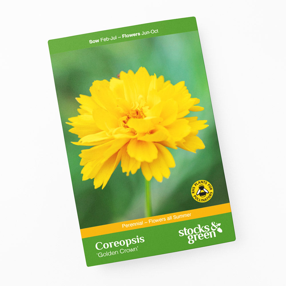 Coreopsis 'Golden Crown' Seeds