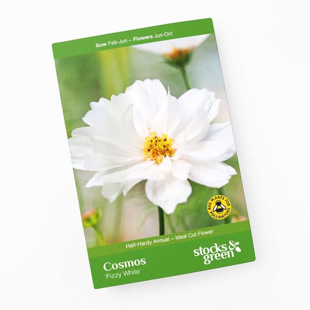 Cosmos 'Fizzy White' Seeds