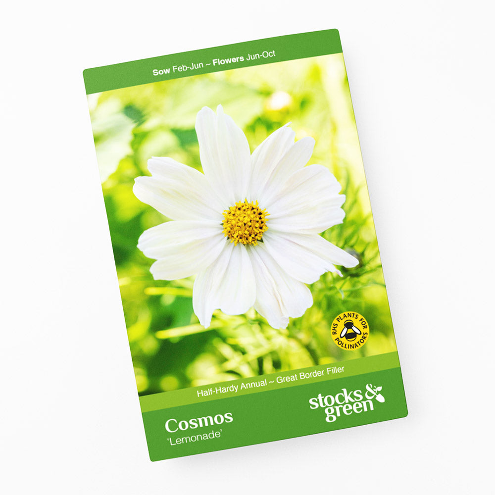 Cosmos 'Lemonade' Seeds