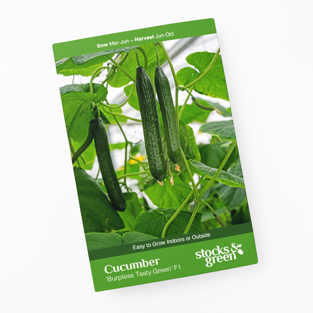 Cucumber 'Burpless Tasty Green F1' Seeds