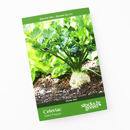 Celeriac 'Giant Prague' Seeds