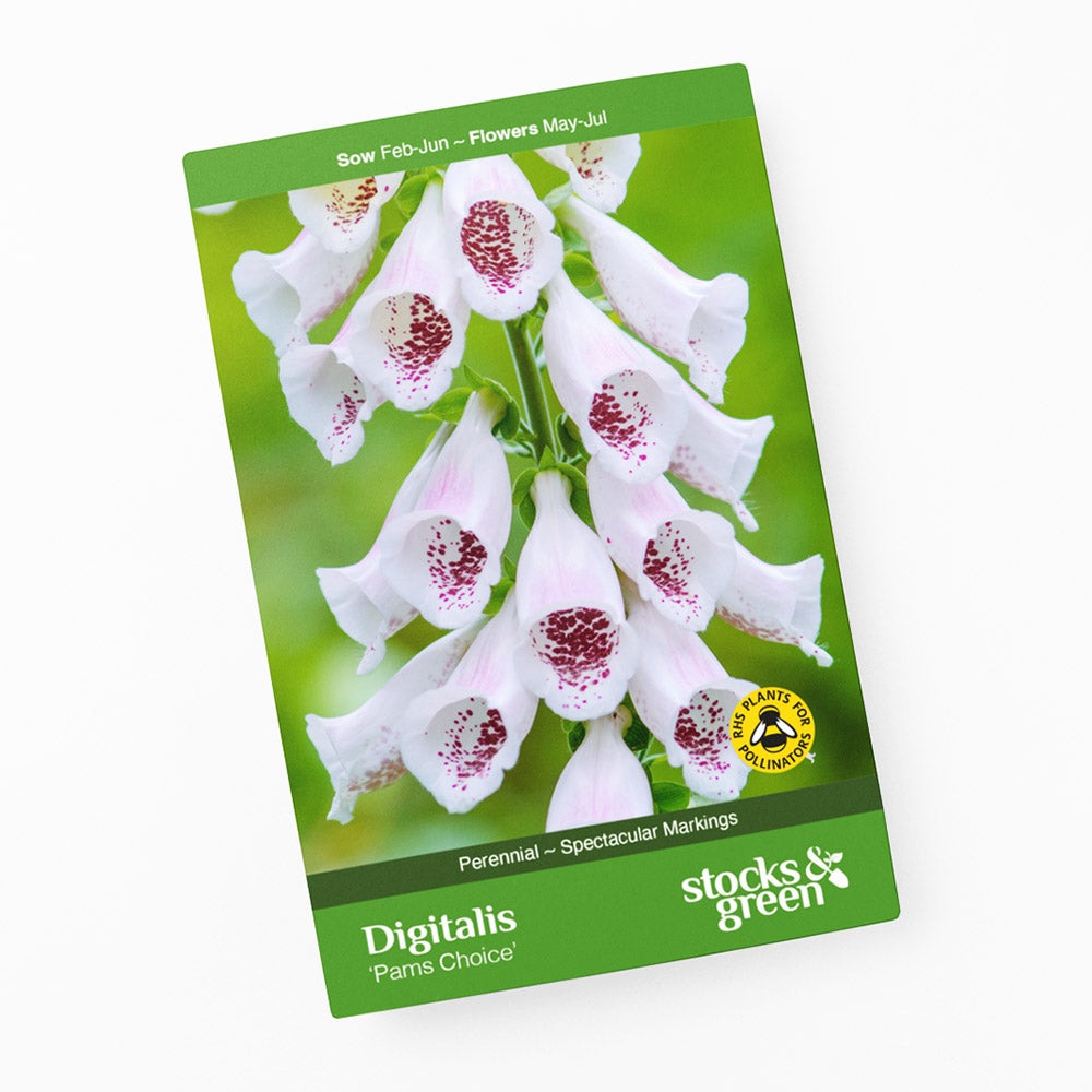 Digitalis 'Pams Choice' (Foxgloves) Seeds