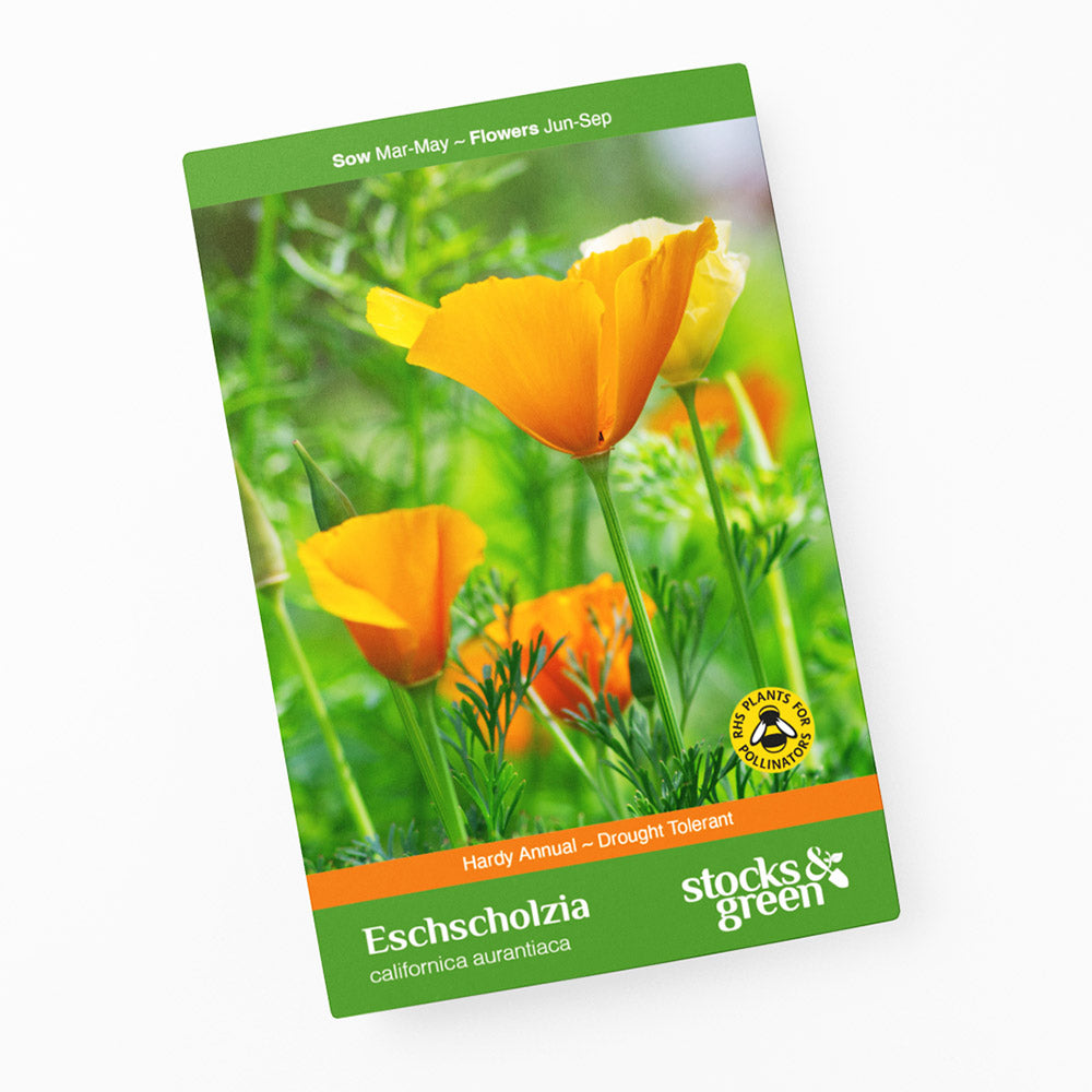 Eschscholzia californica aurantiaca Seeds