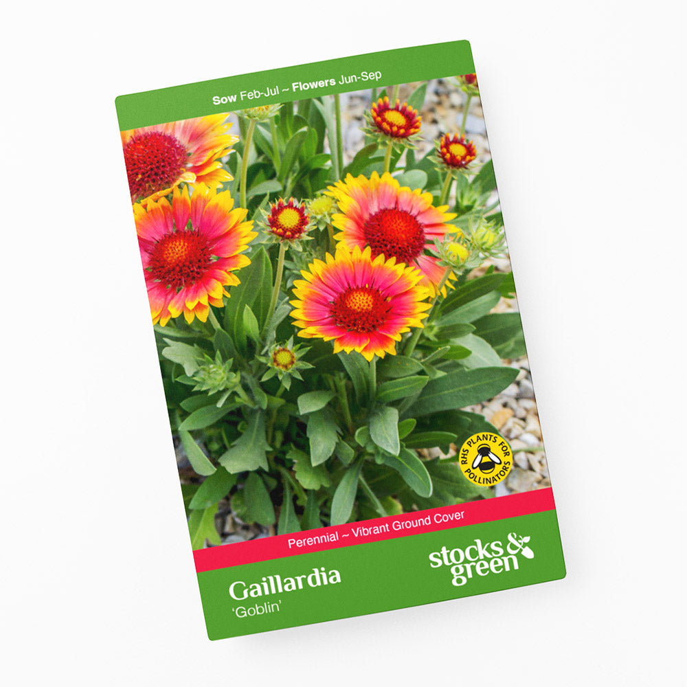 Gaillardia 'Goblin' Seeds