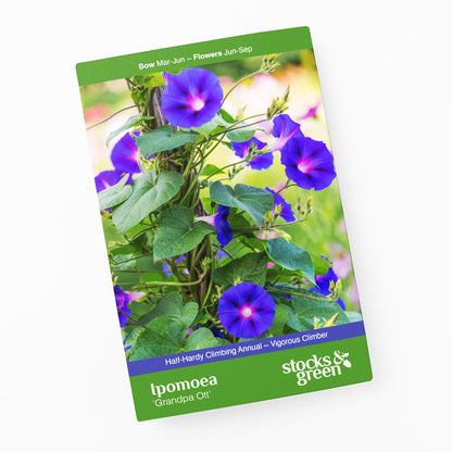 Ipomoea 'Grandpa Ott' Seeds