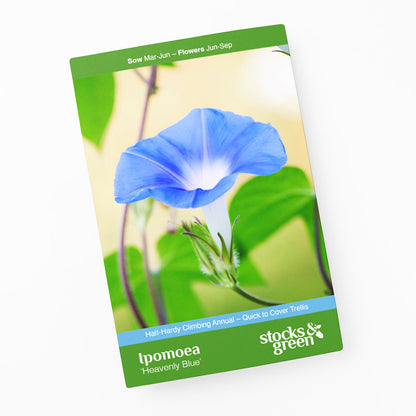 Ipomoea 'Heavenly Blue' Seeds