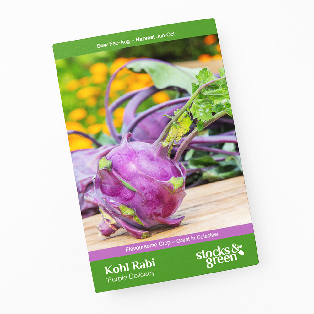 Kohl Rabi 'Purple Delicacy' Seeds