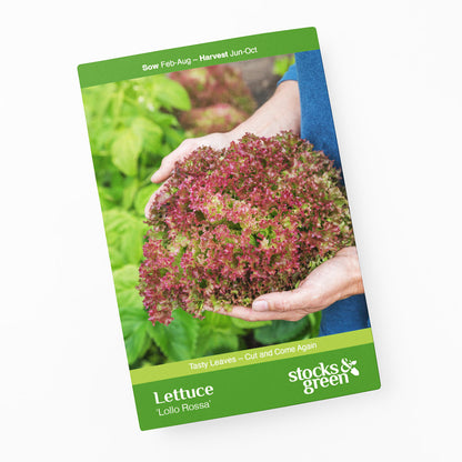 Lettuce 'Lollo Rossa' Seeds