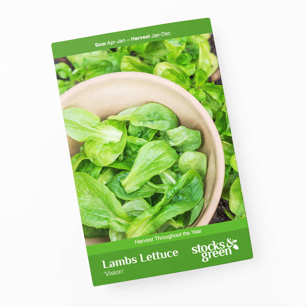 Lambs Lettuce 'Vision' Seeds