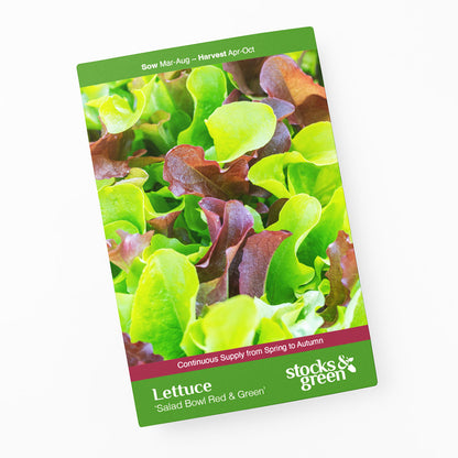 Lettuce 'Salad Bowl Red & Green' Mixed - Seeds