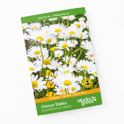 Leucanthemum vulgare - Oxeye Daisy Seeds