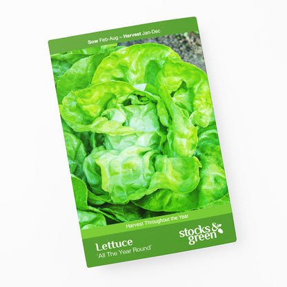 Lettuce 'All The Year Round' Seeds