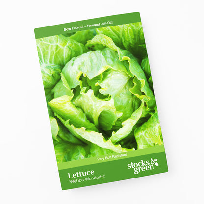 Lettuce 'Webbs Wonderful' Seeds