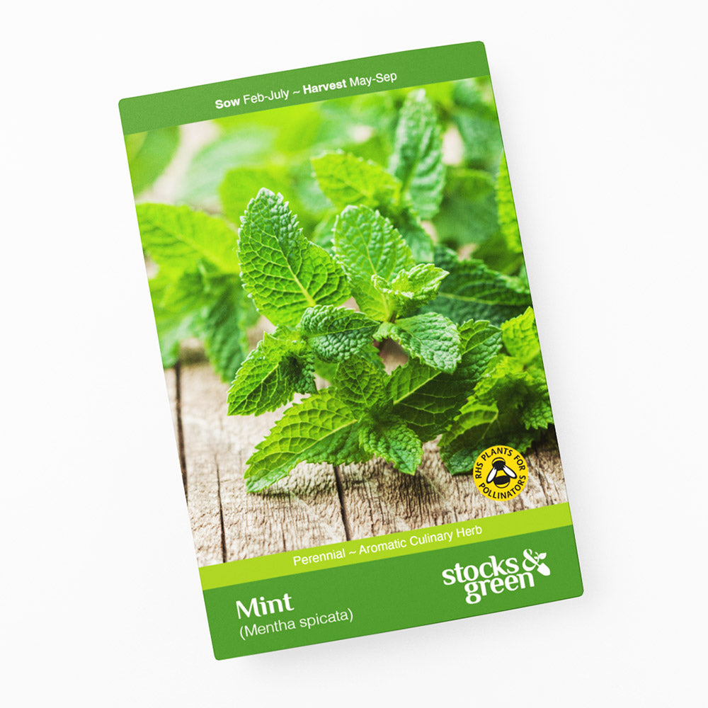 Mint Seeds