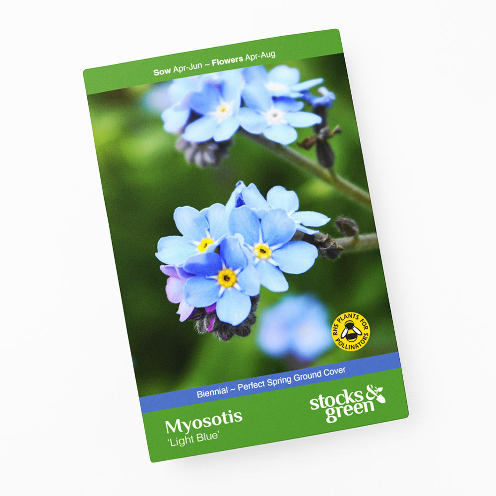 Myosotis 'Light Blue' Seeds