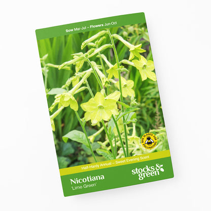 Nicotiana 'Lime Green' Seeds