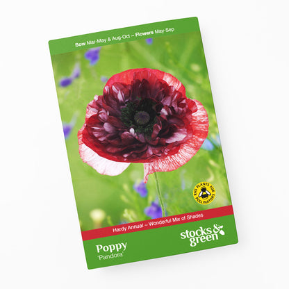 Papaver rhoeas 'Pandora' (Poppy) Seeds