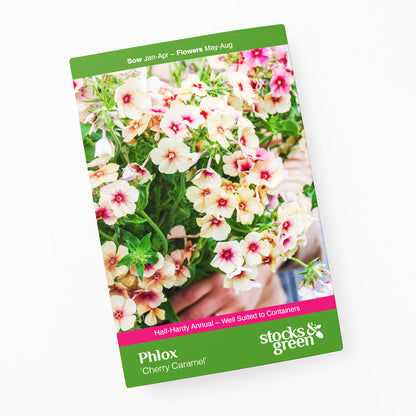 Phlox drummondii grandiflora 'Cherry Caramel' Seeds