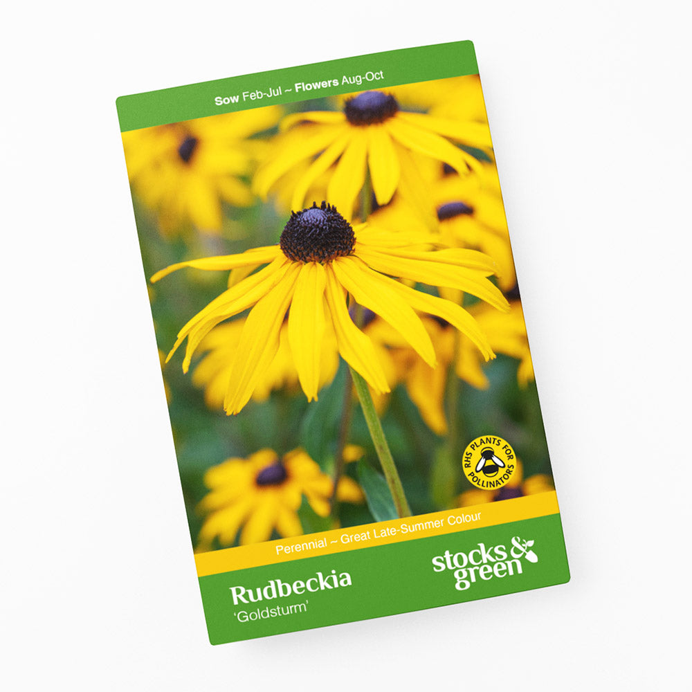 Rudbeckia fulgida 'Goldsturm' Seeds