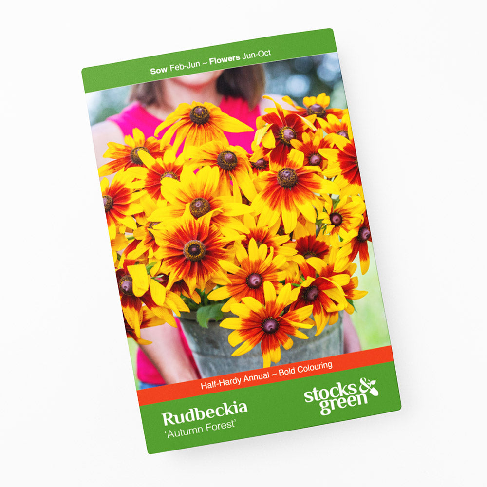 Rudbeckia hirta 'Autumn Forest' Seeds