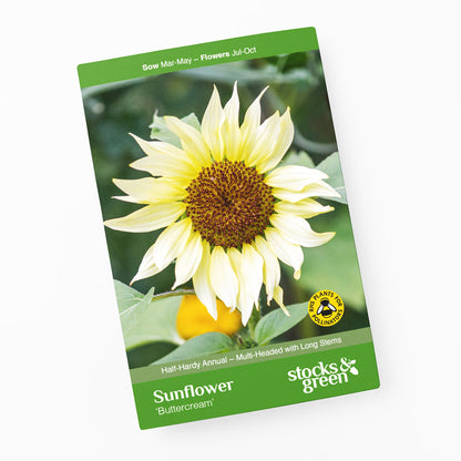 Helianthus 'Buttercream' (Sunflower) Seeds