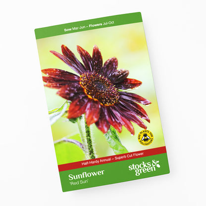 Helianthus 'Red Sun' (Sunflower) Seeds