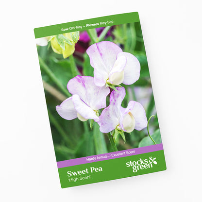 Lathyrus 'High Scent' (Sweet Peas) Seeds