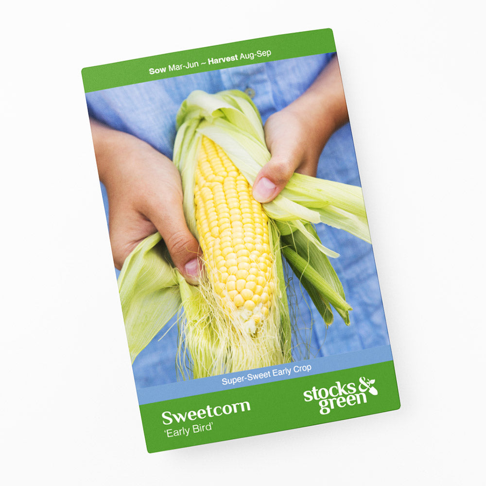 Sweetcorn 'Early Bird' Seeds