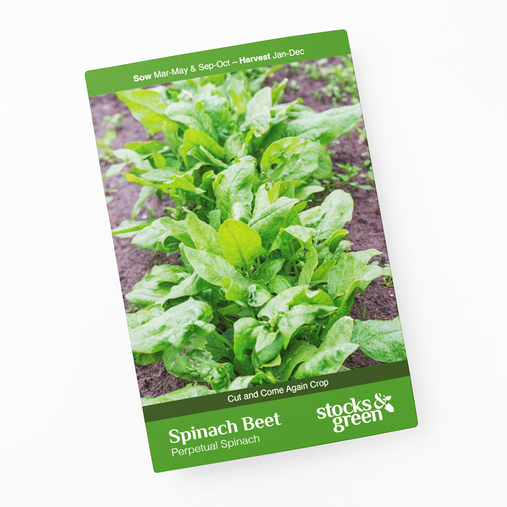 Spinach Beet (Perpetual Spinach) Seeds