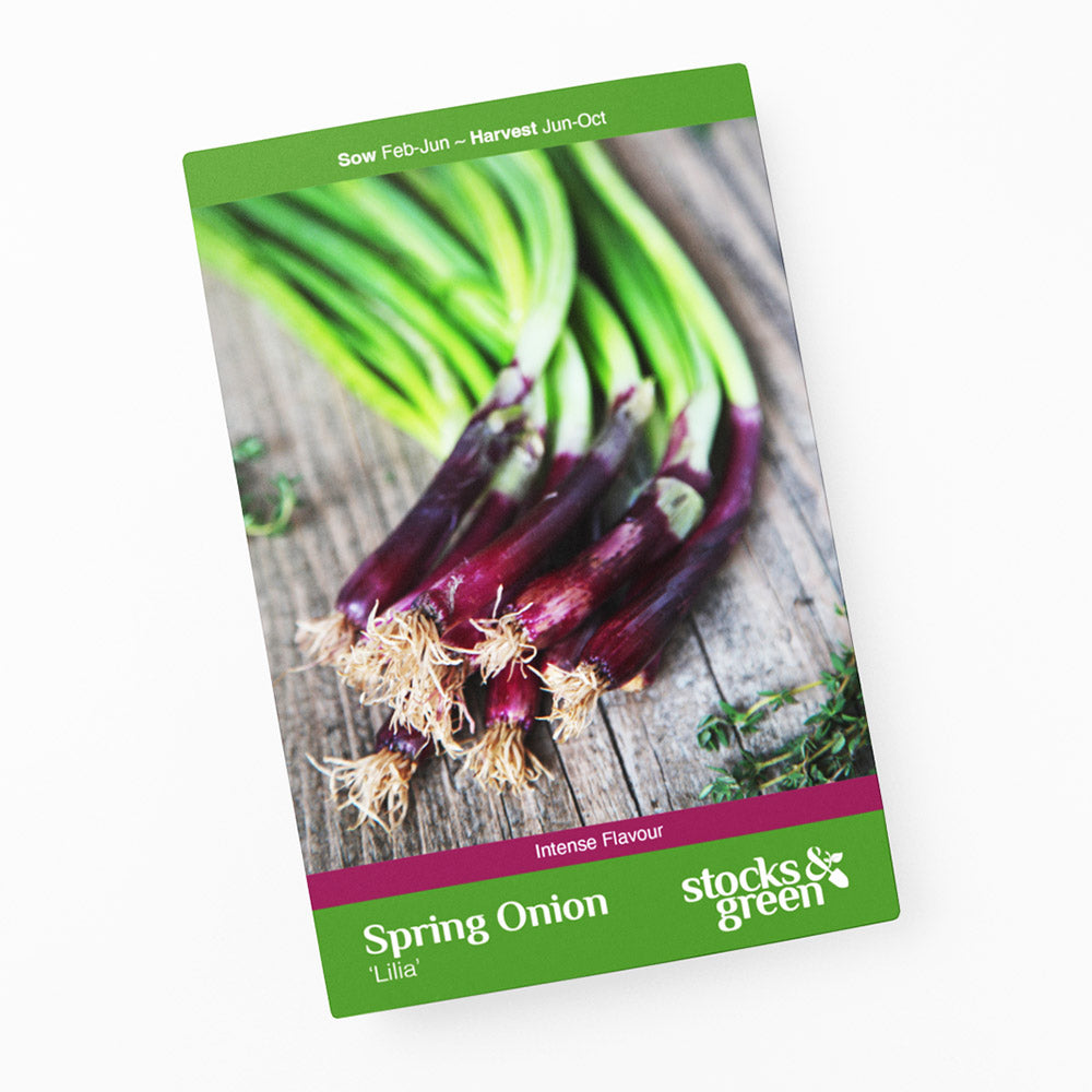 Spring Onion 'Lilia' - Seeds