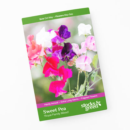 Lathyrus 'Royal Family Mixed' (Sweet Peas) Seeds