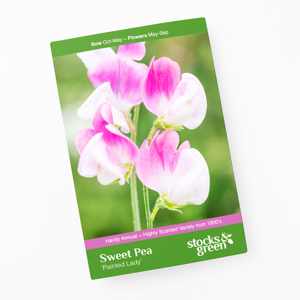 Lathyrus 'Painted Lady' (Sweet Peas) Seeds