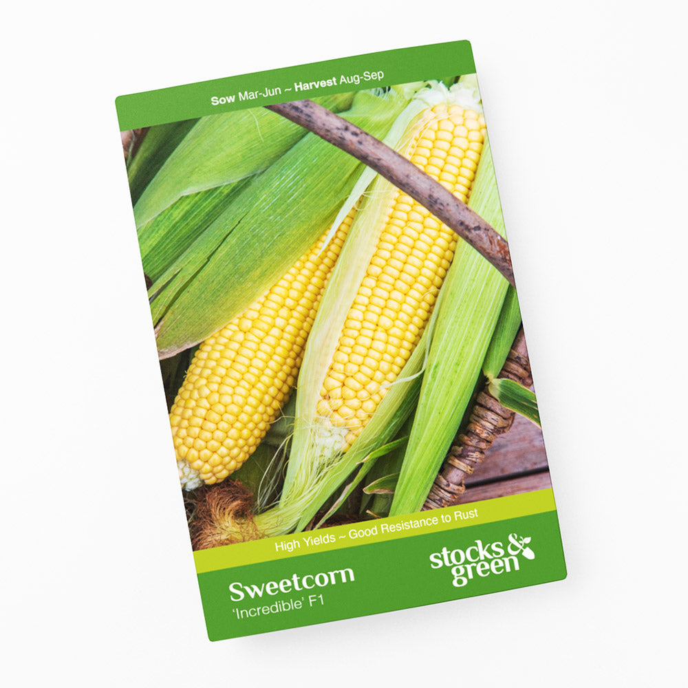 Sweetcorn 'Incredible F1' Seeds