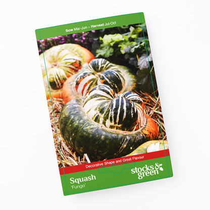 Squash 'Fungo' Seeds