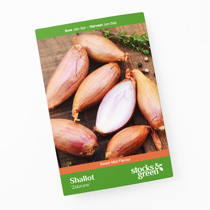 Shallot 'Zebrune' Seeds