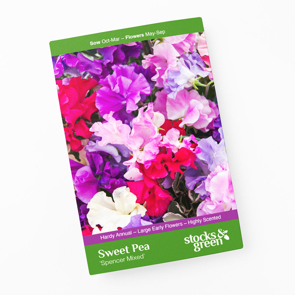 Lathyrus 'Spencer Mixed' Seeds