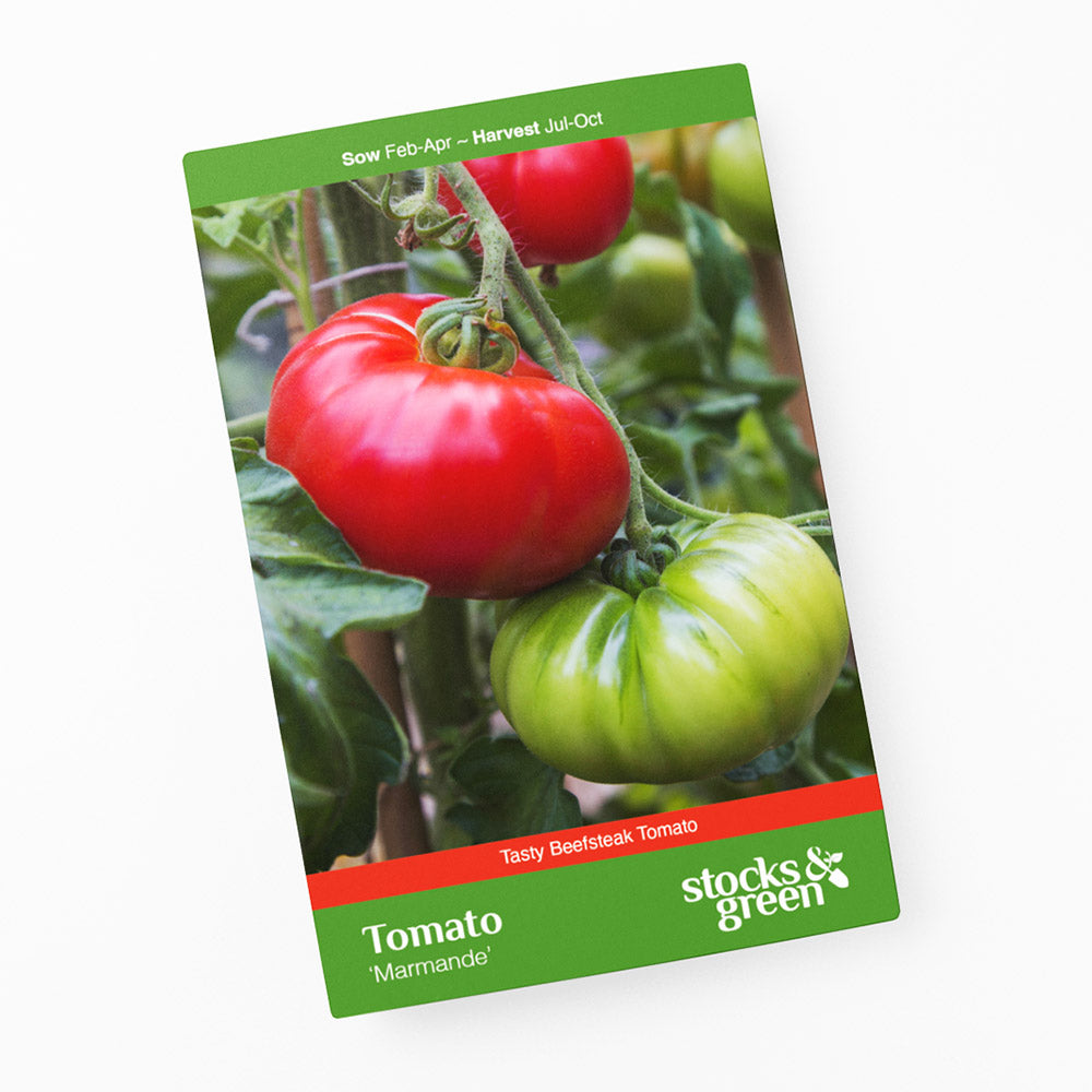 Tomato 'Marmande' Seeds