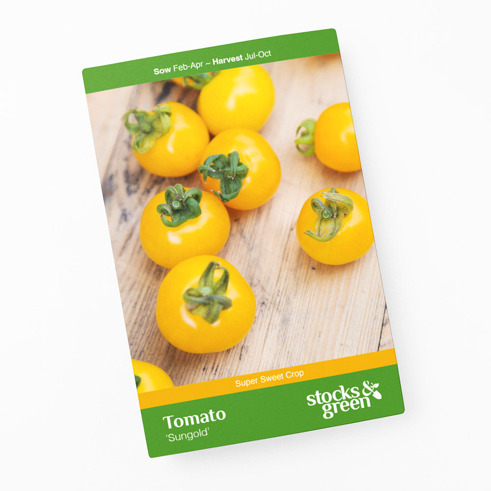 Tomato 'Sungold' Seeds