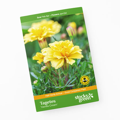 Tagetes 'Vanilla Cream' Seeds